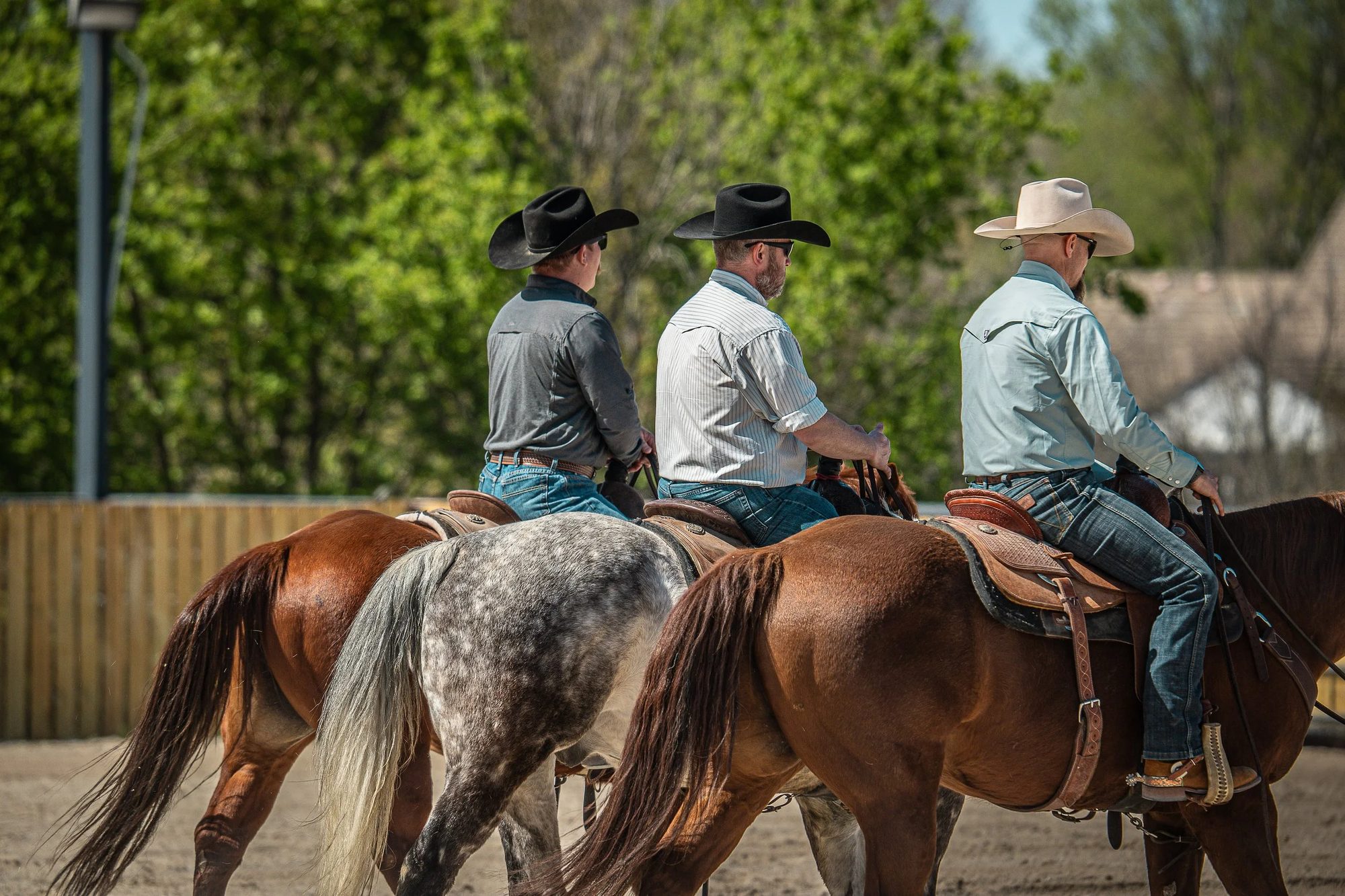 Three riders working horses at Day 6 Ranch